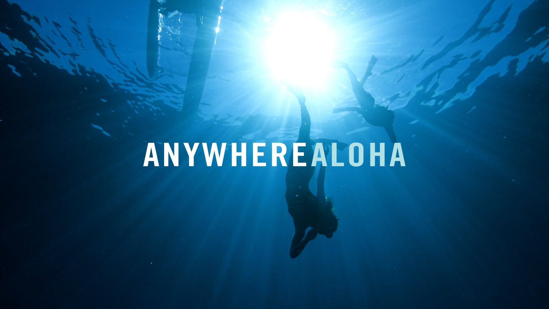 Leben am Rande des Wassers