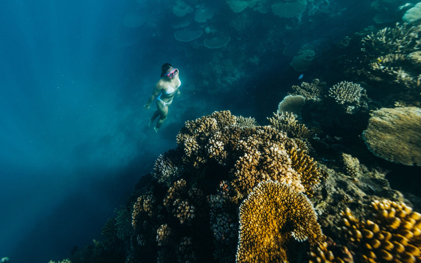Wiederherstellung von Land und Meer