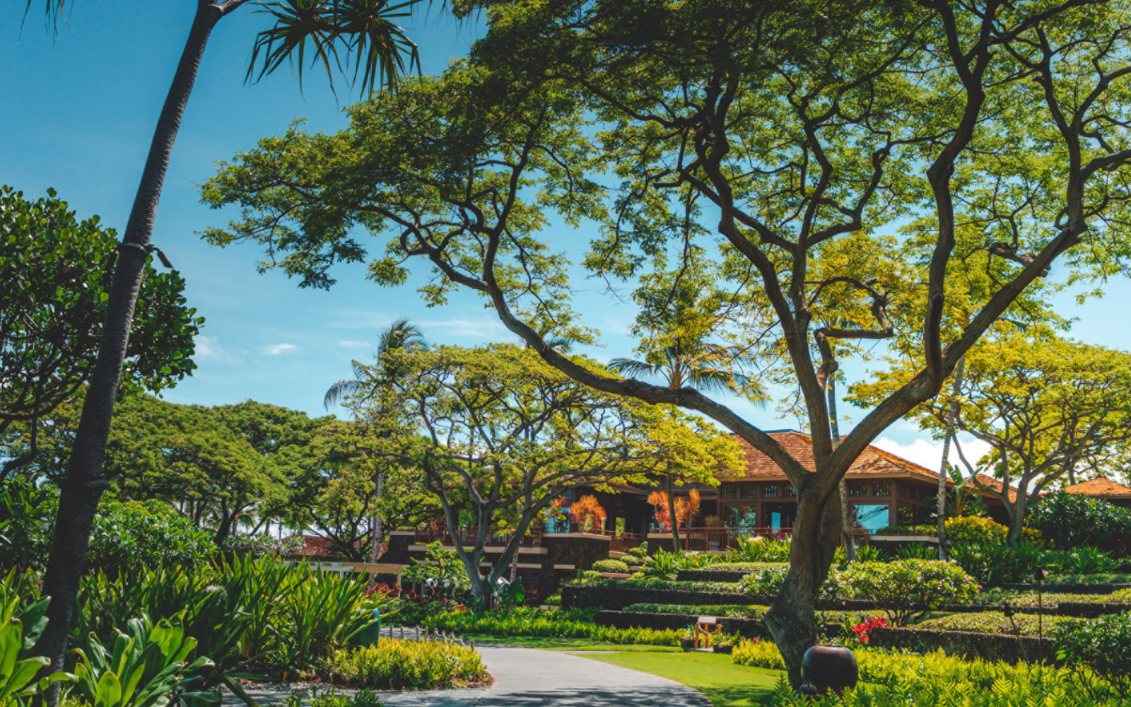 Das ultimative 2022-Hawai'i-Geschenk