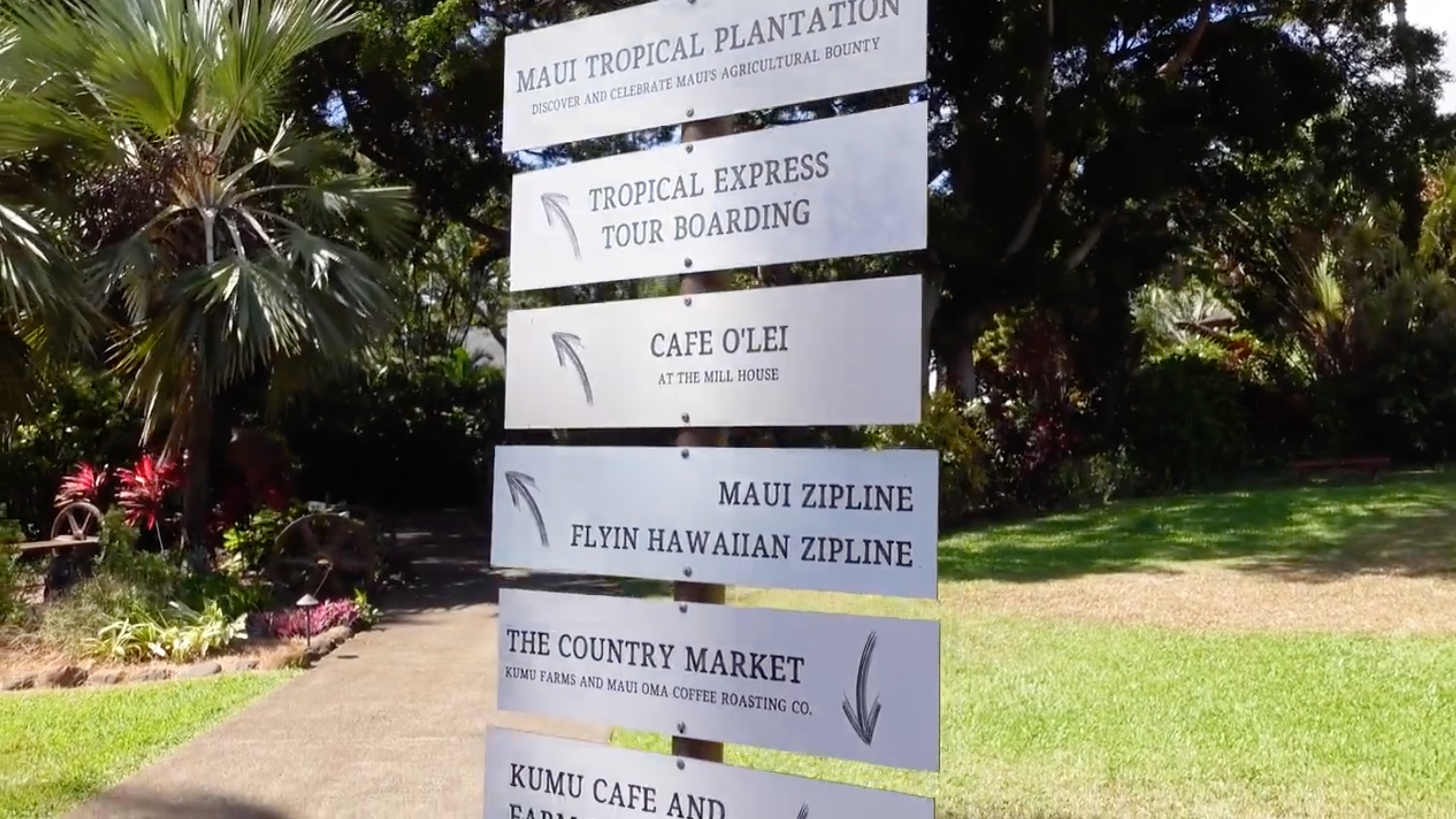 Maui Dinge zu tun | OluKai