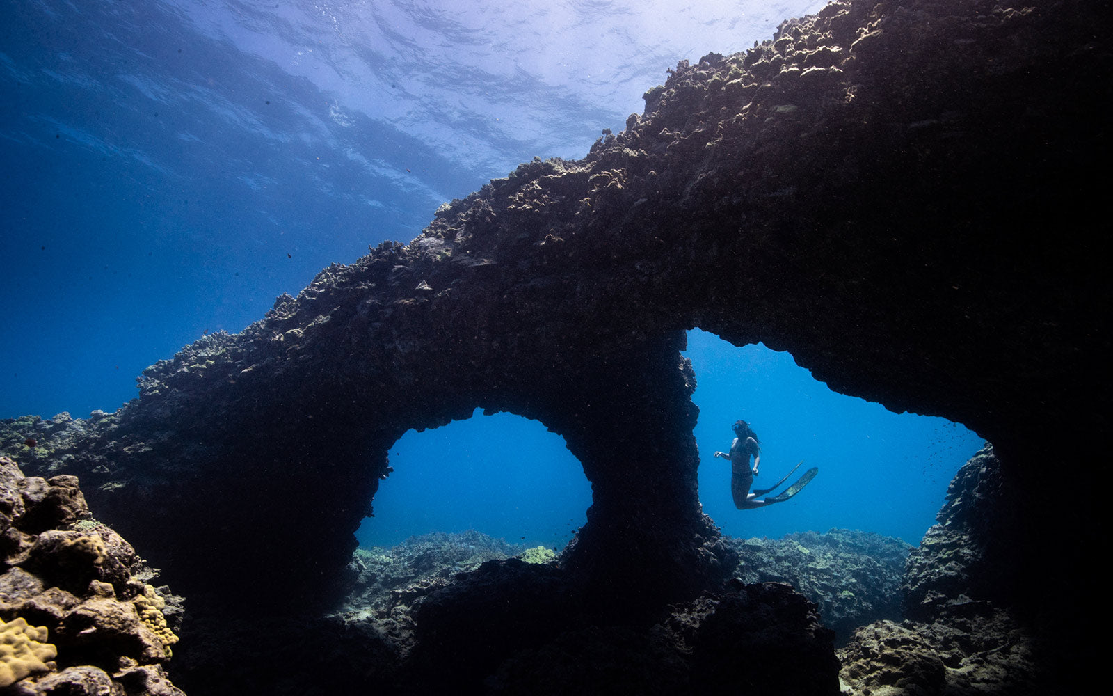 Tauchen mit Kimi - OluKai x Four Seasons