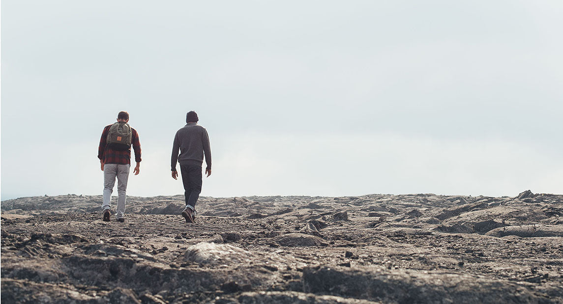 Die Nachkommenschaft