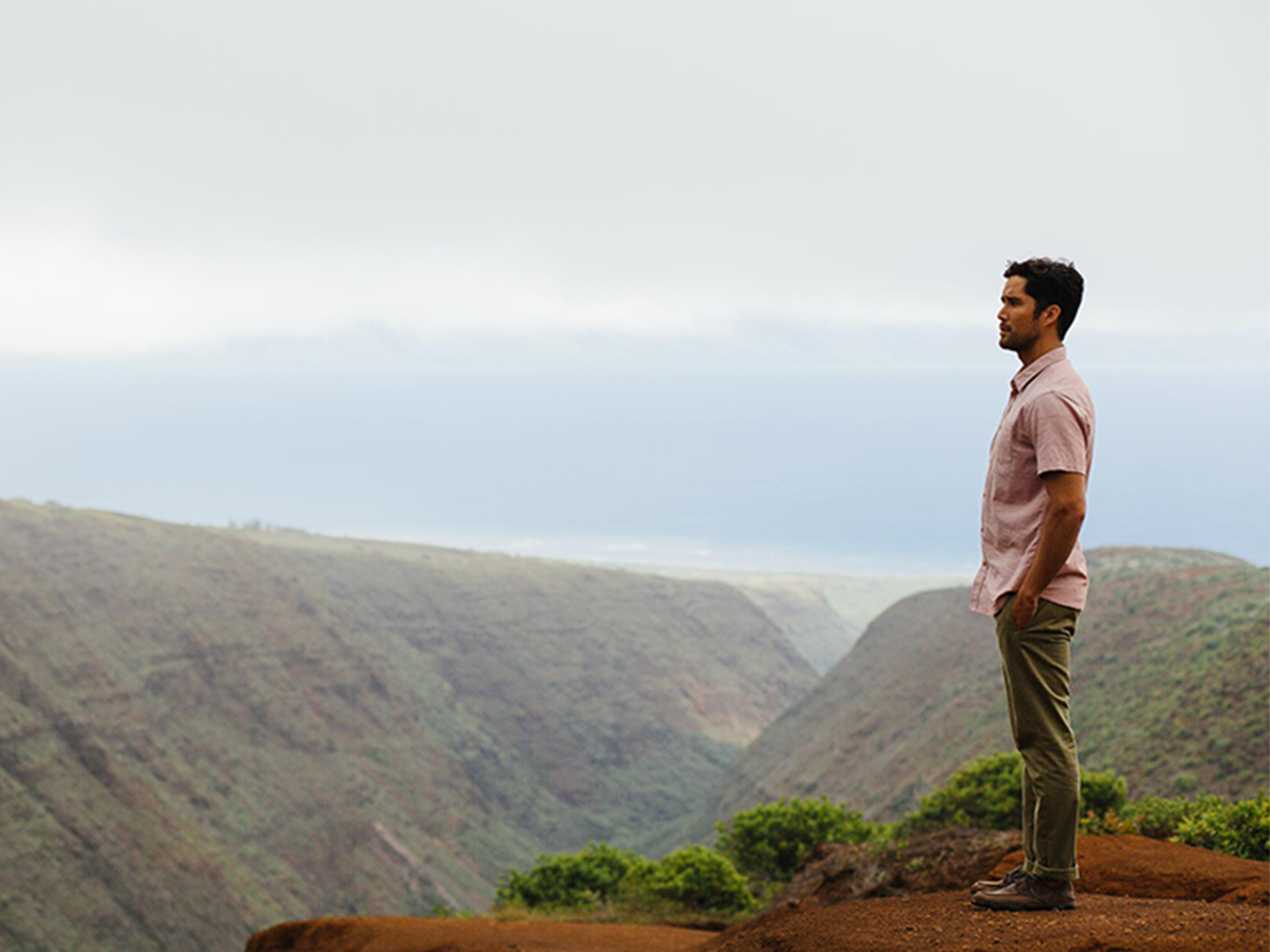 Erkunden Sie die Ananasinsel