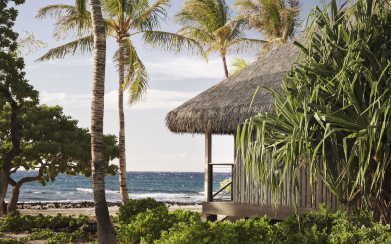 GESCHLOSSEN: OluKai Hawai'i Insel Reise Gewinnspiel