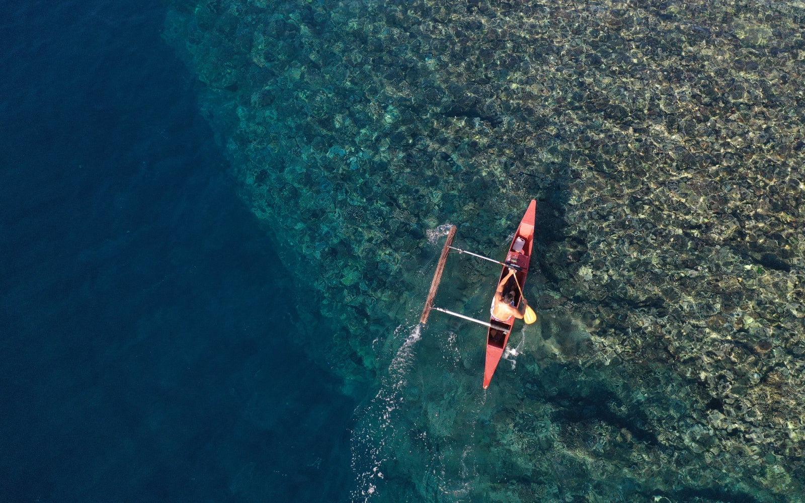 Auf der Jagd nach Energie mit Hopena Pokipala