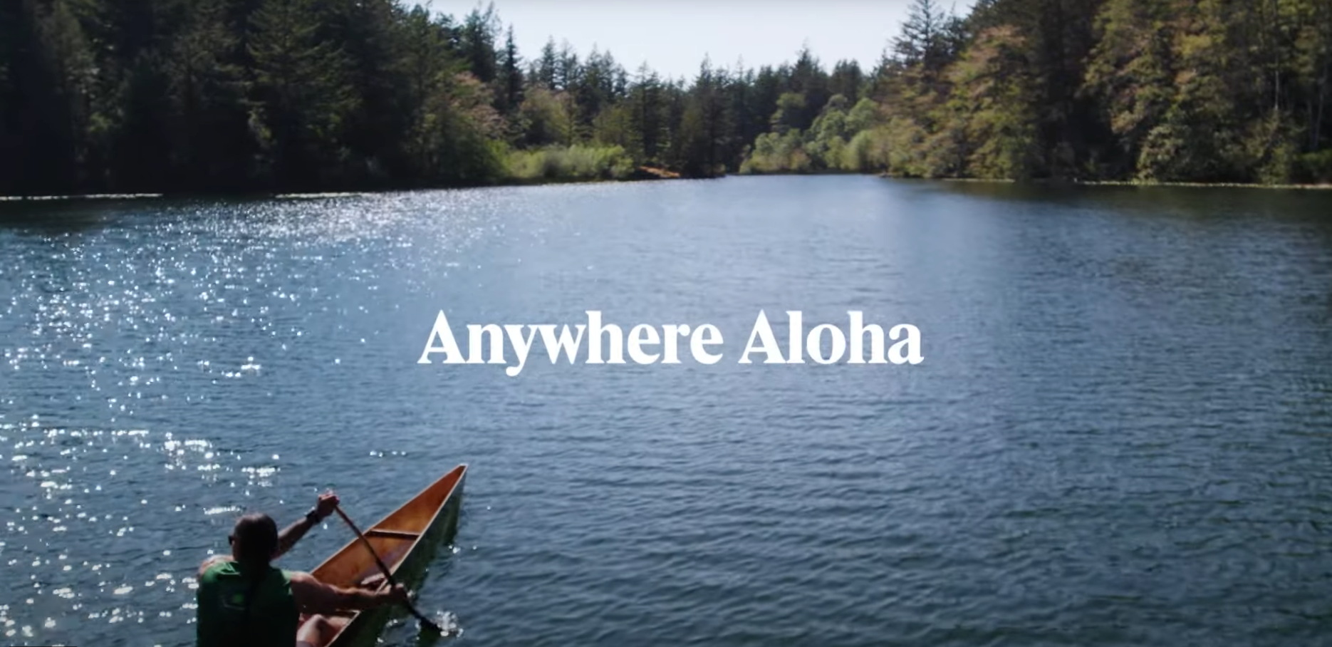 Die Unterwasserwelt - Pazifischer Nordwesten