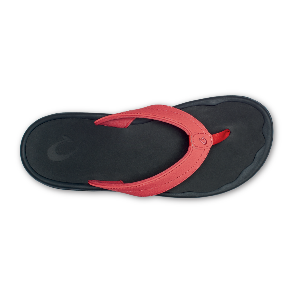 Hot Coral / Black Big Image - 3